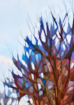Graphical Trees