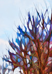 Graphical Trees