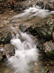 Liguria's Images