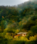Foreste Casentinesi